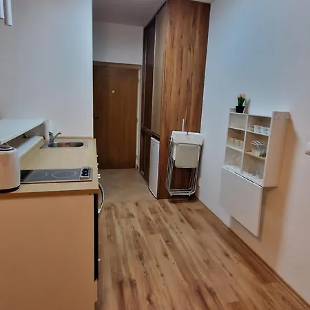 Apartment Belveder *